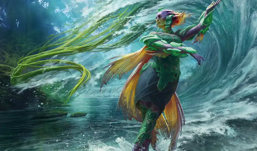The Shapers