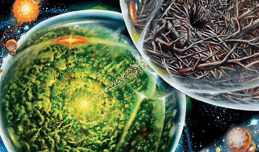 Chronicle of Bolas: A Familiar Stranger
